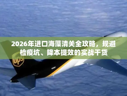 2026年进口海藻清关全攻略，规避检疫坑、降本提效的实战干货