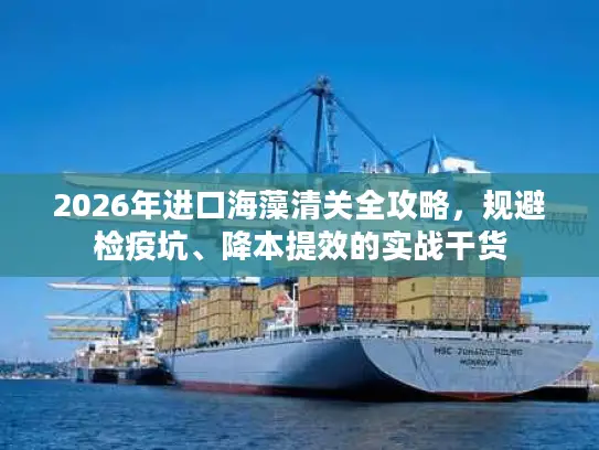2026年进口海藻清关全攻略，规避检疫坑、降本提效的实战干货