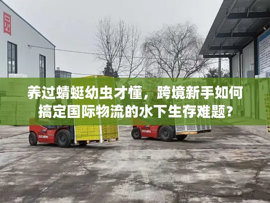 养过蜻蜓幼虫才懂，跨境新手如何搞定国际物流的水下生存难题？