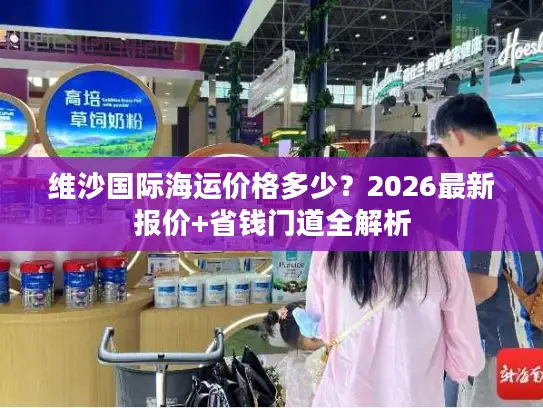 维沙国际海运价格多少？2026最新报价+省钱门道全解析