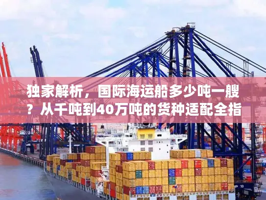 独家解析，国际海运船多少吨一艘？从千吨到40万吨的货种适配全指南