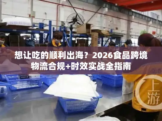想让吃的顺利出海？2026食品跨境物流合规+时效实战全指南