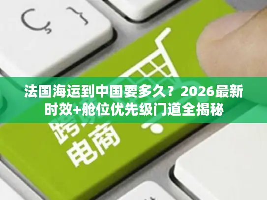 法国海运到中国要多久？2026最新时效+舱位优先级门道全揭秘