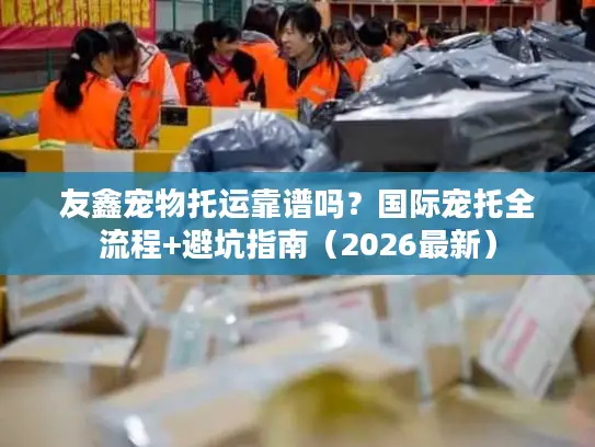 友鑫宠物托运靠谱吗？国际宠托全流程+避坑指南（2026最新）