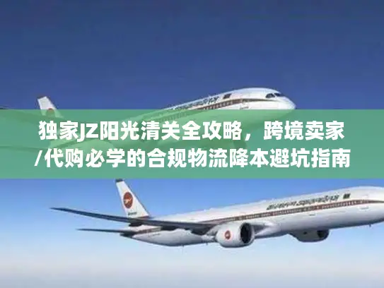 独家JZ阳光清关全攻略，跨境卖家/代购必学的合规物流降本避坑指南