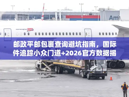 邮政平邮包裹查询避坑指南，国际件追踪小众门道+2026官方数据揭秘