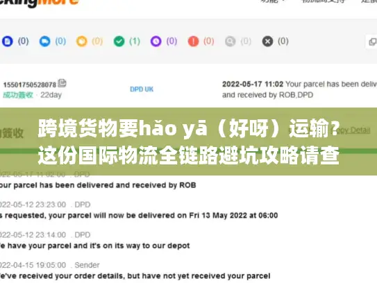 跨境货物要hǎo yā（好呀）运输？这份国际物流全链路避坑攻略请查收
