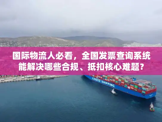 国际物流人必看，全国发票查询系统能解决哪些合规、抵扣核心难题？