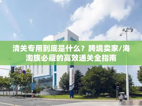 清关专用到底是什么？跨境卖家/海淘族必藏的高效通关全指南