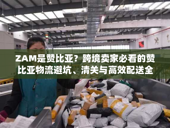 ZAM是赞比亚？跨境卖家必看的赞比亚物流避坑、清关与高效配送全指南