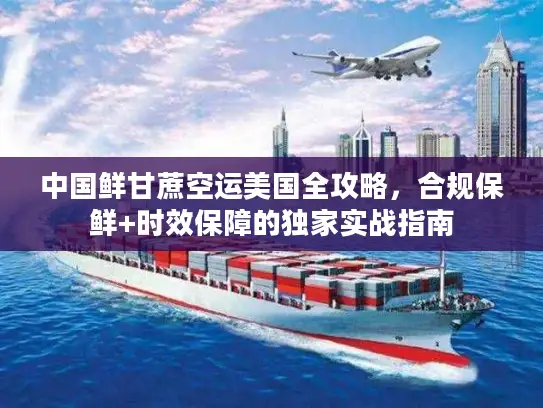 中国鲜甘蔗空运美国全攻略，合规保鲜+时效保障的独家实战指南