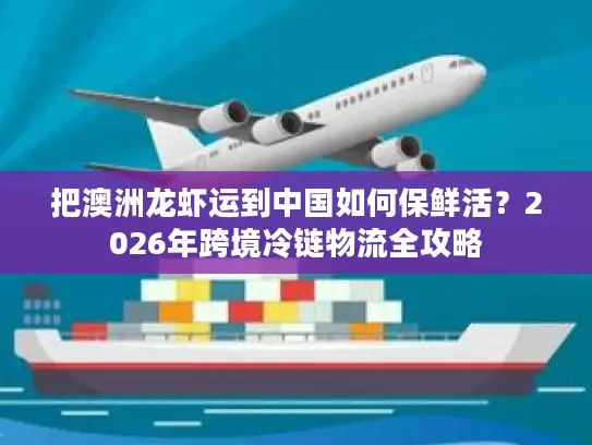 把澳洲龙虾运到中国如何保鲜活？2026年跨境冷链物流全攻略