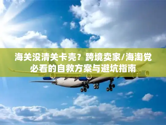 海关没清关卡壳？跨境卖家/海淘党必看的自救方案与避坑指南