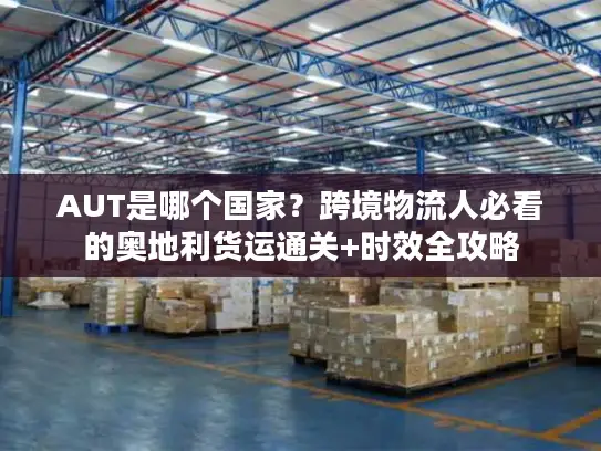 AUT是哪个国家？跨境物流人必看的奥地利货运通关+时效全攻略