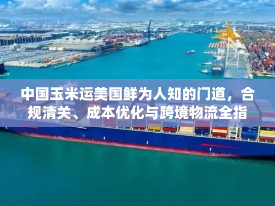 中国玉米运美国鲜为人知的门道，合规清关、成本优化与跨境物流全指南