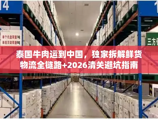 泰国牛肉运到中国，独家拆解鲜货物流全链路+2026清关避坑指南