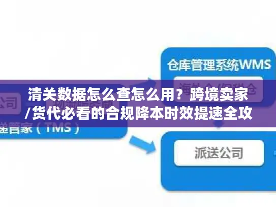 清关数据怎么查怎么用?跨境卖家/货代必看的合规降本时效提速全攻略 清关数据怎么查怎么用?跨境卖家/货代必看的合规降本时效提速全攻略