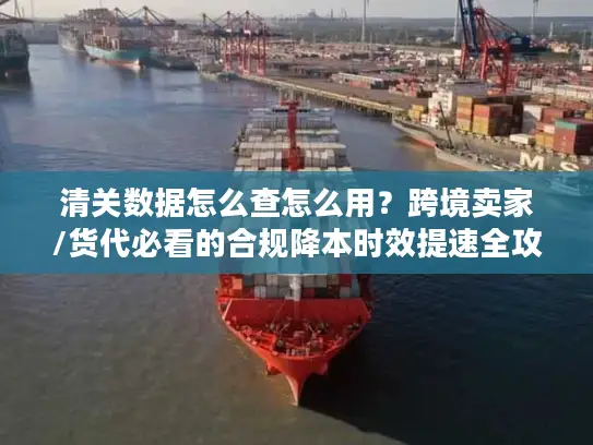清关数据怎么查怎么用？跨境卖家/货代必看的合规降本时效提速全攻略