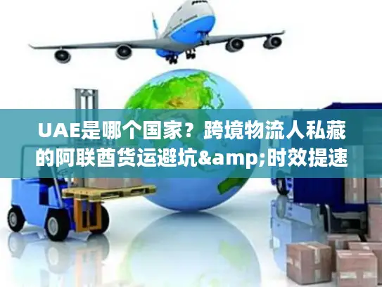 UAE是哪个国家？跨境物流人私藏的阿联酋货运避坑&时效提速指南