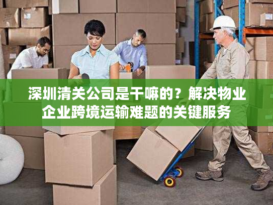 深圳清关公司是干嘛的？解决物业企业跨境运输难题的关键服务
