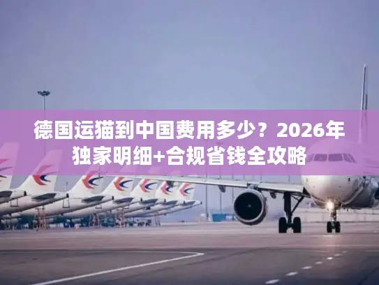 德国运猫到中国费用多少？2026年独家明细+合规省钱全攻略