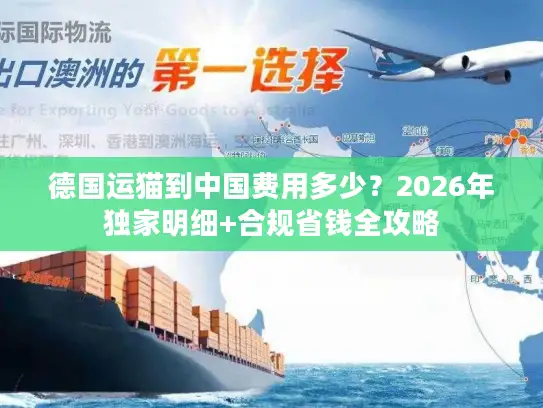 德国运猫到中国费用多少？2026年独家明细+合规省钱全攻略