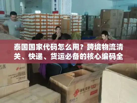 泰国国家代码怎么用？跨境物流清关、快递、货运必备的核心编码全解析