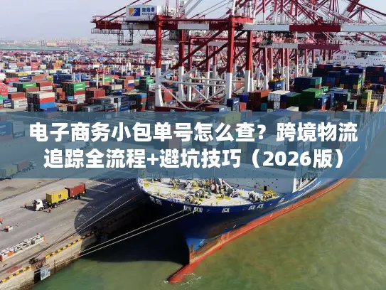 电子商务小包单号怎么查？跨境物流追踪全流程+避坑技巧（2026版）