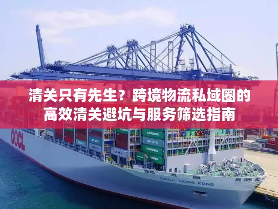 清关只有先生？跨境物流私域圈的高效清关避坑与服务筛选指南