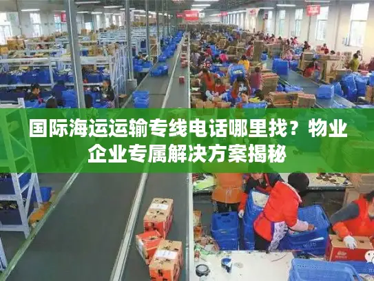 国际海运运输专线电话哪里找？物业企业专属解决方案揭秘