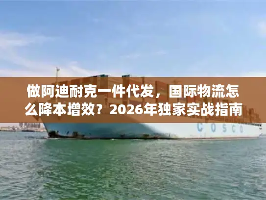做阿迪耐克一件代发，国际物流怎么降本增效？2026年独家实战指南