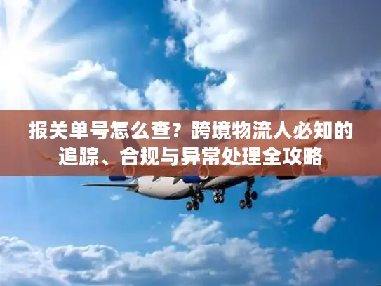 报关单号怎么查？跨境物流人必知的追踪、合规与异常处理全攻略