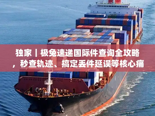 独家|极兔速递国际件查询全攻略,秒查轨迹、搞定丢件延误等核心痛点 独家|极兔速递国际件查询全攻略,秒查轨迹、搞定丢件延误等核心痛点