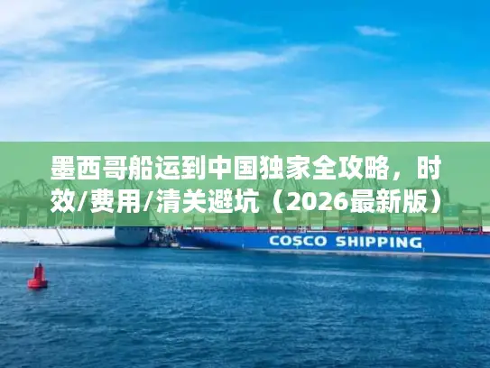 墨西哥船运到中国独家全攻略，时效/费用/清关避坑（2026最新版）