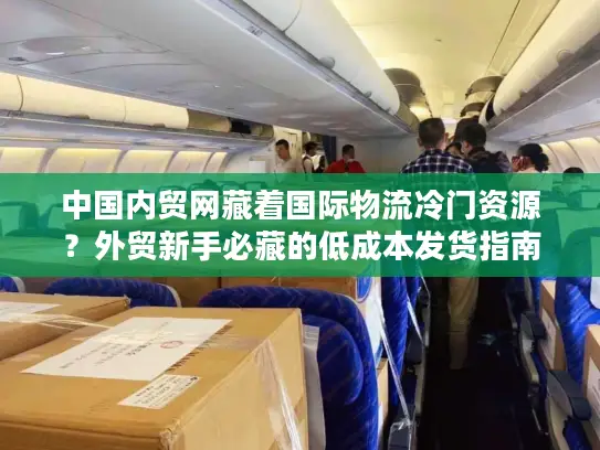 中国内贸网藏着国际物流冷门资源？外贸新手必藏的低成本发货指南