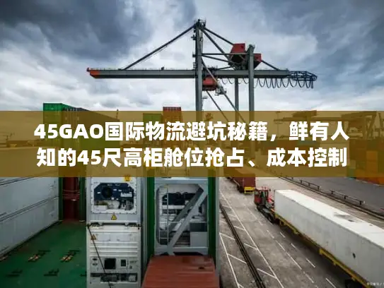 45GAO国际物流避坑秘籍，鲜有人知的45尺高柜舱位抢占、成本控制与清关技巧