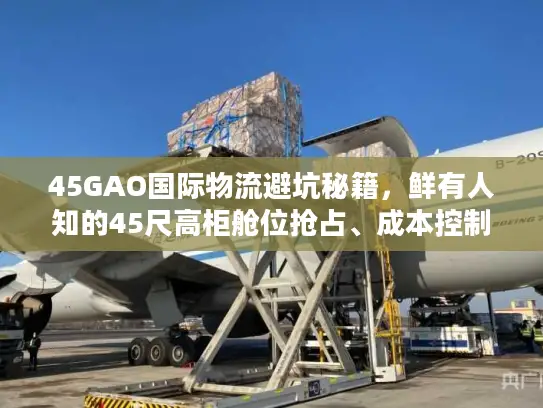 45GAO国际物流避坑秘籍，鲜有人知的45尺高柜舱位抢占、成本控制与清关技巧