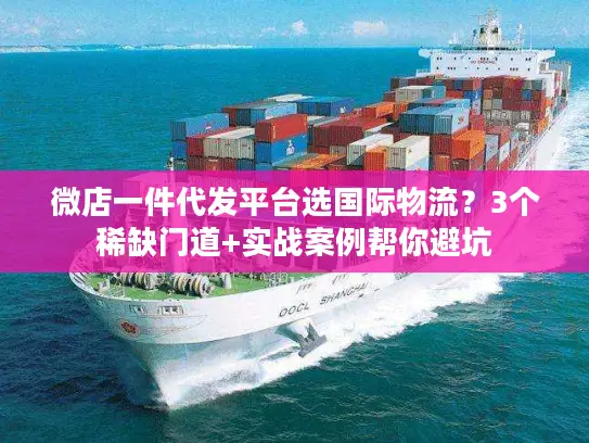 微店一件代发平台选国际物流？3个稀缺门道+实战案例帮你避坑