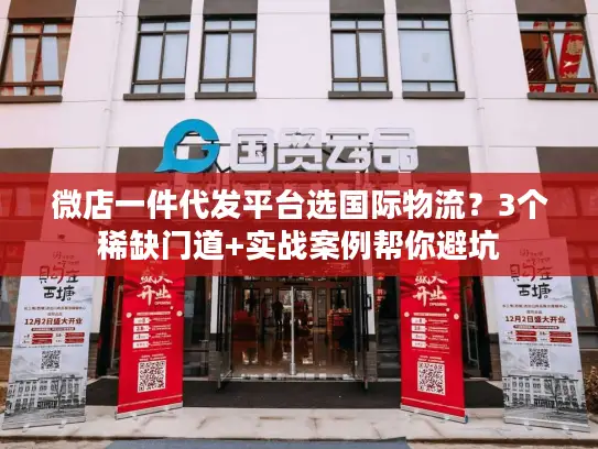 微店一件代发平台选国际物流？3个稀缺门道+实战案例帮你避坑