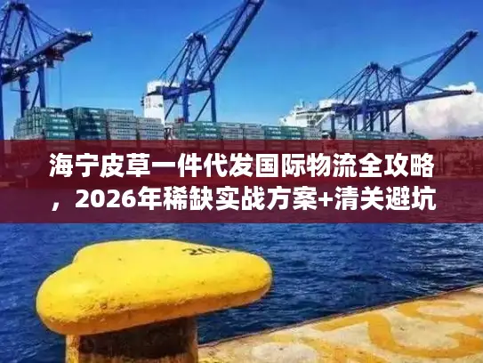 海宁皮草一件代发国际物流全攻略，2026年稀缺实战方案+清关避坑秘籍