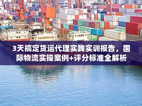 3天搞定货运代理实践实训报告，国际物流实操案例+评分标准全解析