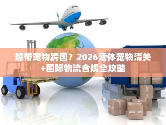想带宠物跨国？2026活体宠物清关+国际物流合规全攻略