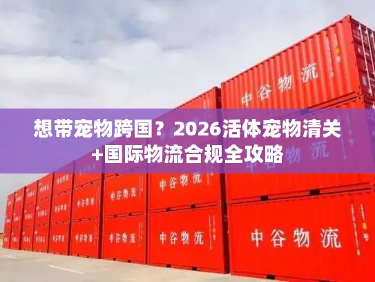 想带宠物跨国？2026活体宠物清关+国际物流合规全攻略