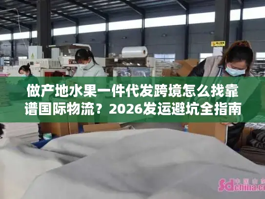 做产地水果一件代发跨境怎么找靠谱国际物流？2026发运避坑全指南