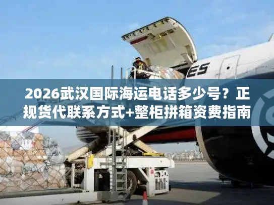 2026武汉国际海运电话多少号？正规货代联系方式+整柜拼箱资费指南