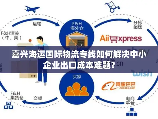 嘉兴海运国际物流专线如何解决中小企业出口成本难题？
