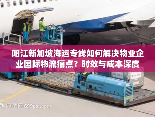 阳江新加坡海运专线如何解决物业企业国际物流痛点？时效与成本深度解析