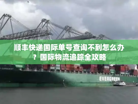 顺丰快递国际单号查询不到怎么办？国际物流追踪全攻略