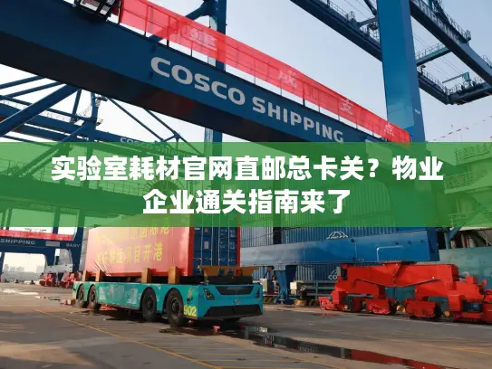 实验室耗材官网直邮总卡关？物业企业通关指南来了