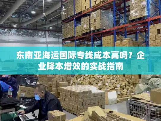 东南亚海运国际专线成本高吗？企业降本增效的实战指南